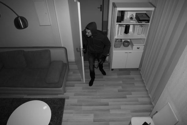 Secure Your Sanctuary: How Smart Cameras Bring Peace of Mind to Your Home